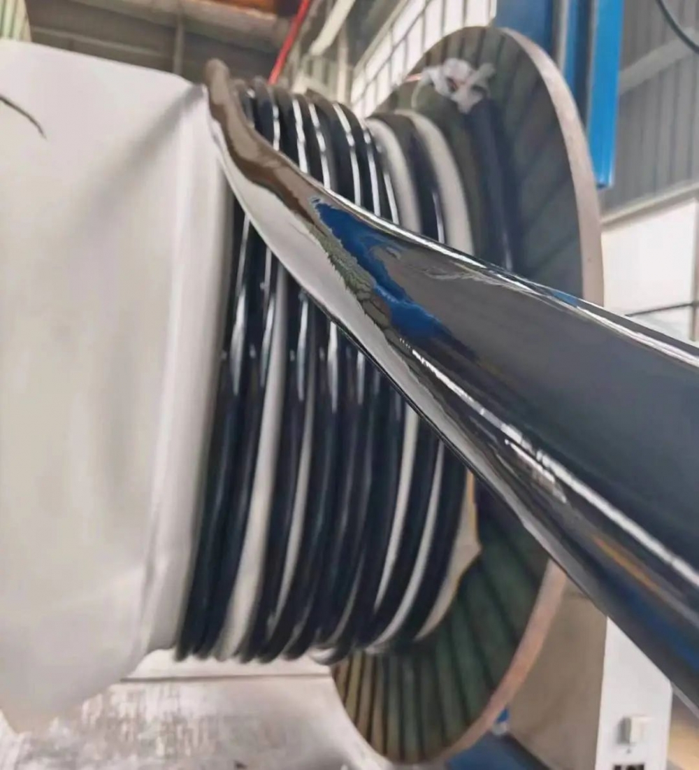 微信图片_202403021101552 微信图片_202403021101552